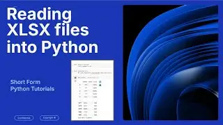 How to Load XLSX Files (Excel Files) into Python (in under 60 seconds)