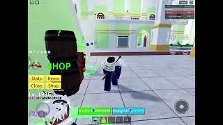 My recorded fruit rolls in may *i was bored* (Blox Fruits)