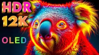 12K HDR Incredible Wildlife of Africa | 120fps Dolby Vision