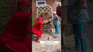 Отправь подруге! Ваш лайфстайл на пенсию 😆😆😆