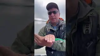 Как щука портит поводок струну #рыбалка #спиннинг #щука