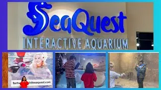 SeaQuest Aquarium,Fort Worth | Texas #Tamil #SeaQuest Interactive Aquarium #FortWorth #usatamilvlog