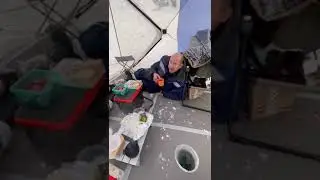 рыбалка р Обь новая палатка!
