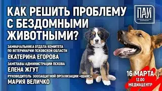 Пресс-конференция, посвященная проблеме бездомных животных
