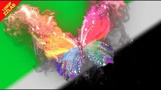 Butterfly magic Green Screen Video ZzLAB