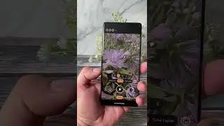 Video Macro en Pixel 7 Pro 