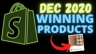 DEC 2020 Shopify Winning Products (Shopify Dropshipping Products 2020)