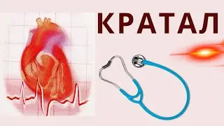 КРАТАЛ - для лечения сердца