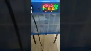 китайский инкубатор. первые впечатления