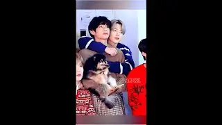 Вимины неделимы.   Vmin are indivisible.
