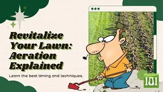 When to Aerate Your Lawn. What is the Best Time?