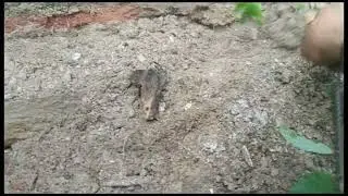 эксперименты по заброшкам