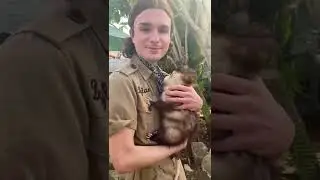 Niche content #possum #waitressmusical #theatrekid #singing #broadway