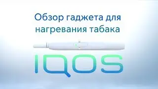 Обзор IQOS – гаджета для нагревания табака