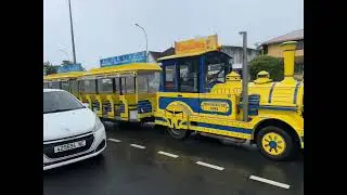 NEW Colendia Full Video Tour: See All the Best Parts