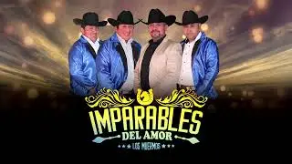 IMPARABLES DEL AMOR - NO SUFRIRE POR NADIE ( Promocional 2024 )
