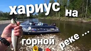 Рыбалка на  хариуса ! В горной реке ! хариус на бомбарду,хариус 2021