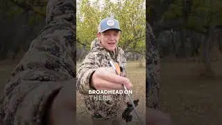 Deer killing machine