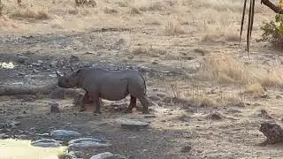 Etosha   SD 480p