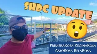 SHDC  PRIMERAROSA NEWEST Update #SHDC #PRIMERAROSA #REGINAROSA #BELAROSA #AMOROSA
