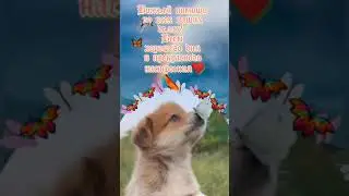 Просто улыбнись и с добрым утром!