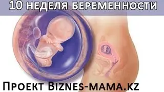 10 неделя беременности