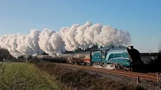 4464 The Bittern Farewell Tour 30/12/14