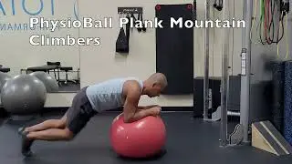 PhysioBall Exercises