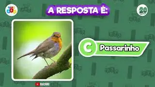🤔Adivinhe o animal pela parte do corpo 🐶🐱🐹 #quiz #animal #adivinhe