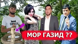 Шахлло Д ва Баходур Ч Сайид Шакарханд Самандар Качок Дар Барнома