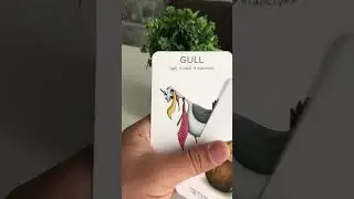 Учим быстро и легко английские слова по мнемокарточкам LikeLook.