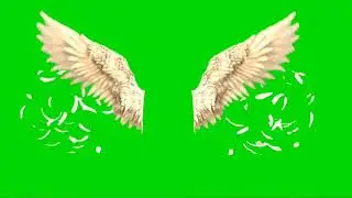 Green Screen sayap malaikat