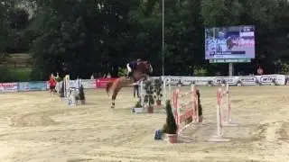Alpicor 1.50 Championat Spangenberg