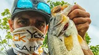 ULTIMATE Pond Fishing 