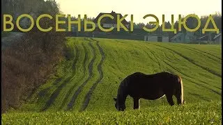 Восеньскі эцюд