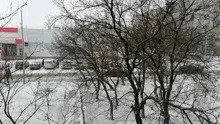 Ейск 2020.  Погода зимой в Ейске.  Погода в Ейске в декабре.  Первый снег.