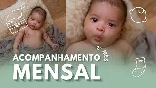 Acompanhamento Mensal - 2 Meses (2 de 12)