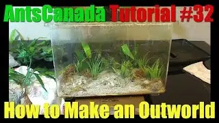 How to Make a Simple Outworld - AntsCanada Tutorial #32