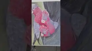 óleo sobre tela
