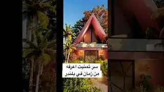 صمم كمحترف في بلندر | Work as pro in blender