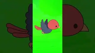 Bird flying #:birdflyinggreenscreenvideo 