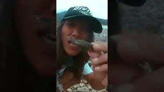NIAT MAU TANGKAP UDANG MALAH KENA CAPIT #mancing #mancingmania #ikan