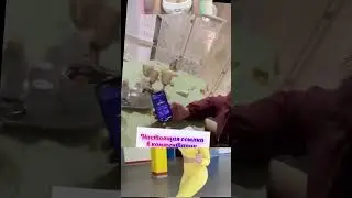 Тамаев поднимает на лаки джет 