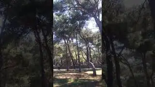 Турция. Анталия. Парк Хаят. Июль. Жара ...