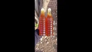 100% Pure Honey#Short