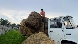 ДОЖДАЛИСЬ! НАМ ПРИВЕЗЛИ СЕНО! ТЕЩА УЕЗЖАЕТ ДОМОЙ! НАША ФЕРМА! ЖИЗНЬ ПРОСТЫХ ЛЮДЕЙ В ДЕРЕВНЕ!