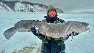 ШОК! РЫБЫ ЛЮДОЕДЫ НЕ ЛЕЗУТ В ОГРОМНЫЕ ЛУНКИ. ЯКУТИЯ. ПЕРВЫЙ ЛЁД