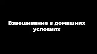 Как взвесить питомца в домашних условиях