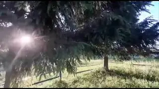 Свеча памяти.