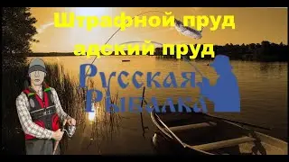 Штрафной пруд в Русской рыбалке 4